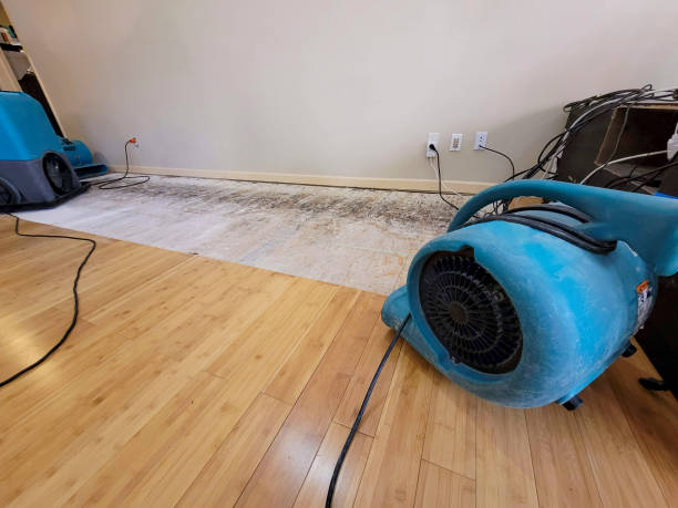 Professional Water Removal technician working in Riverdale, MI